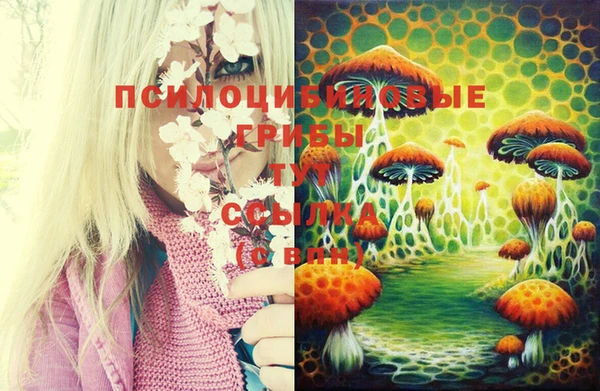 крисы Балабаново