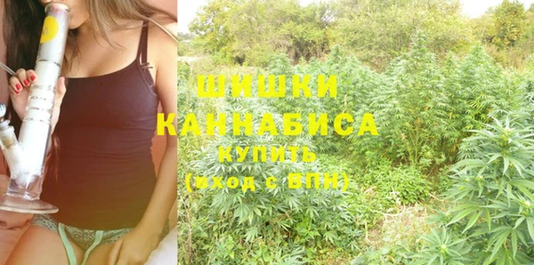 spice Балахна
