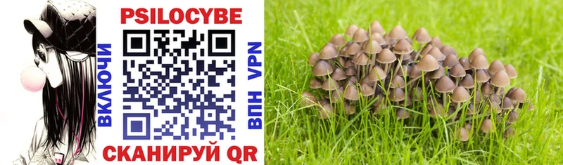 Галлюциногенные грибы Magic Shrooms  Купить закладки  Голицыно 